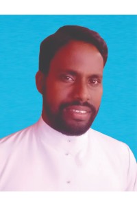 REV FR Sham