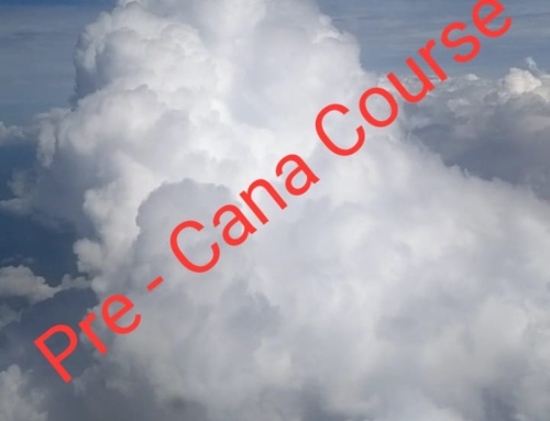 Pre – Cana Course