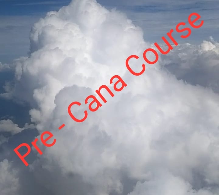 Pre – Cana Course